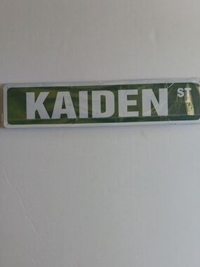 Aiden Green and White Personalized Name Street Sign